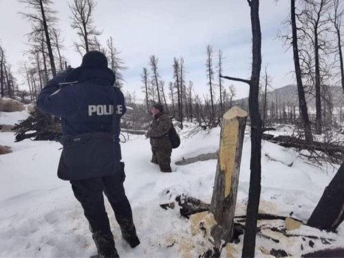 Улсын тусгай хамгаалалттай газарт хяналт шалгалт хийжээ