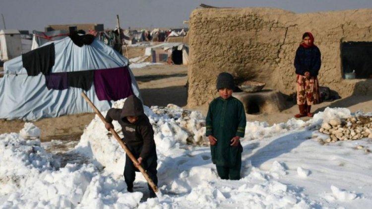 Афганистанд хүйтнээс болж 70 хүн нас барав