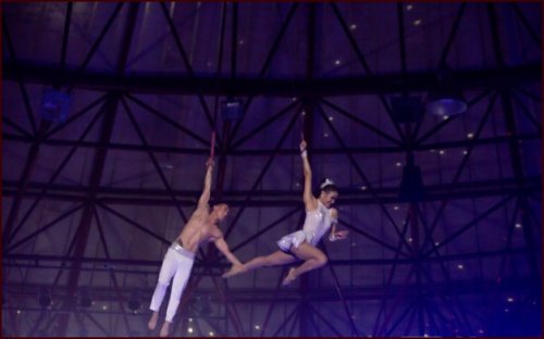 Олон улсын циркчдийн А зэрэглэлийн наадамд амжилт үзүүлсэн найман жүжигчинд ₮34 саяыг олгох шийдвэр гарчээ